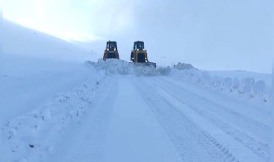 MN: Orduda donvurma halı aşkar edilməyib, 800 km-dən çox yol qardan təmizlənib - VİDEO