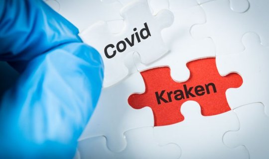 İndi yayılan Kraken Omikrondan ağırdır - Oksana Andronova