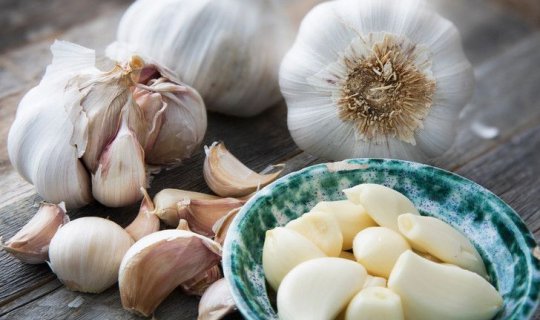 Sarımsağın beyinə bilmədiyiniz təsiri açıqlandı