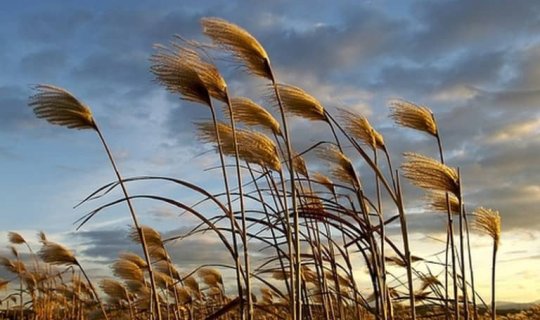 Faktiki hava açıqlandı