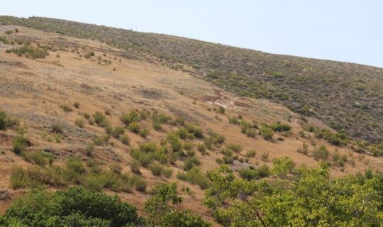 Erməni arxeoloqların \