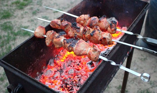 Kabab xərçəngə gedən yoldur – Həkim