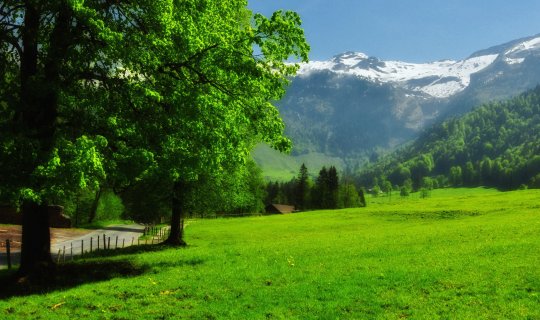 Təbiət şəhərləri sürətlə tərk etməyə məcbur edəcək – Mütəxəssisdən XƏBƏRDARLIQ