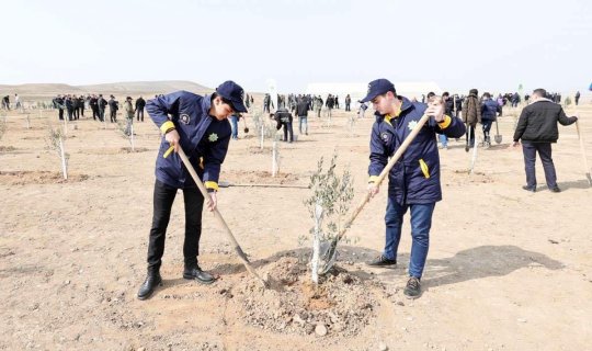 Heydər Əliyevin yubileyi ilə əlaqədar ağacəkmə aksiyası keçirildi