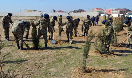 Azərbaycan Ordusunda ağacəkmə aksiyaları keçirilib - FOTO