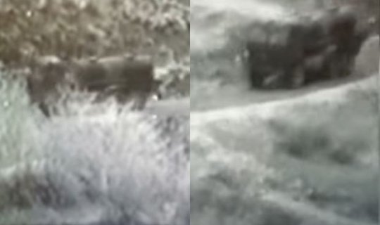 MN: Sülhməramlı kontingent qanunsuz daşımaları müşayiət edir - VİDEO