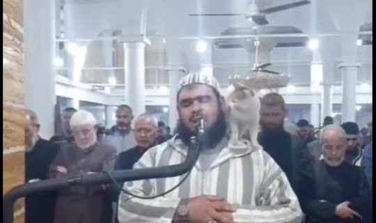 Namaz vaxtı gözlənilməz hadisə - VİDEO