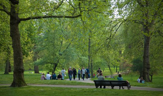 Bakının bu ərazisində yeni park salınacaq