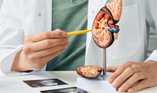 Böyrək çatışmamazlığı insult və infarkt yaradır
