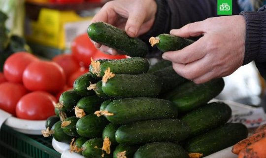 “Pomidor-xiyarın qiymətini xeyli aşağı salmaq mümkündür, lakin...” - Ekspert