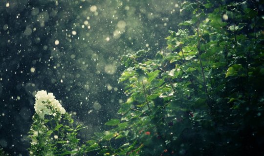 Hava nə vaxt düzələcək? - 30 il əvvəl də belə olub...