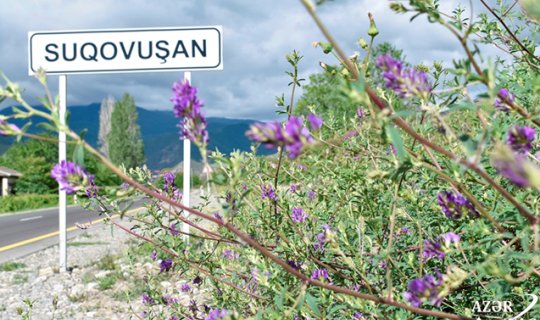 Suqovuşandan yaz FOTOLARI