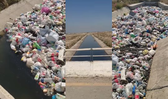 Günahkar vətəndaş, yoxsa qurumlardır? - \