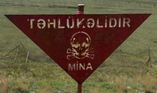 600 ha minalardan tam təmizlənib - VİDEO