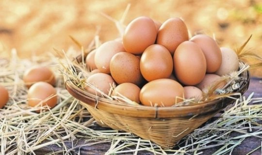 Azərbaycan Belçikaya yumurta ixrac edəcək