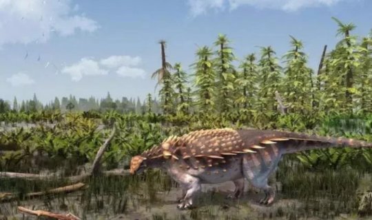 Yeni dinozavr növü kəşf edildi
