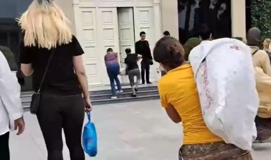 Sumqayıtda öldürülən itlər İH-nin binası önünə atıldı: Rəsmi reaksiya - VİDEO