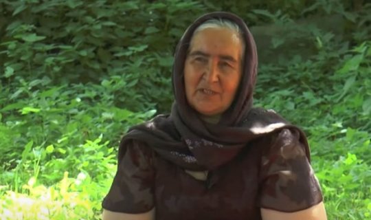 Qərbi Azərbaycan Xronikası: Aşağı Şorca həsrətli şəhid anası - VİDEO