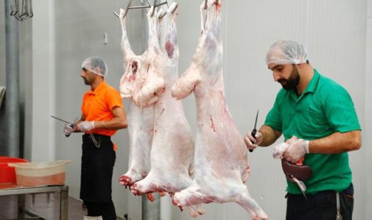 138 ünvanda qurbanlıq heyvanların satışı və kəsimi xidmətləri təşkil edilib - FOTO
