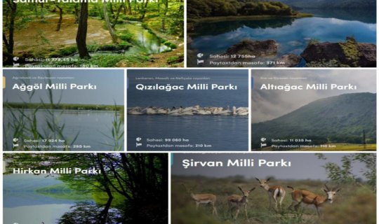 İstirahət günlərində milli parklarda gözlənilən hava açıqlanıb