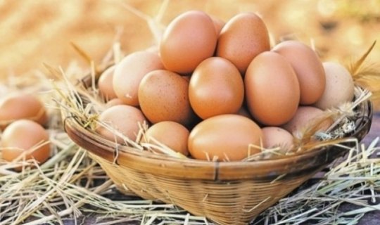 Yumurtanın qiyməti ucuzlaşacaq? – AÇIQLAMAxa0