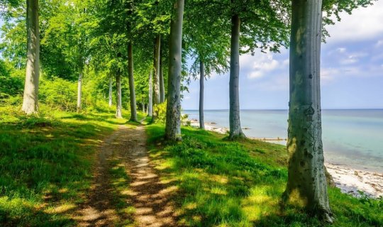 İstirahət günlərində milli parklarda gözlənilən hava şəraiti açıqlanıb