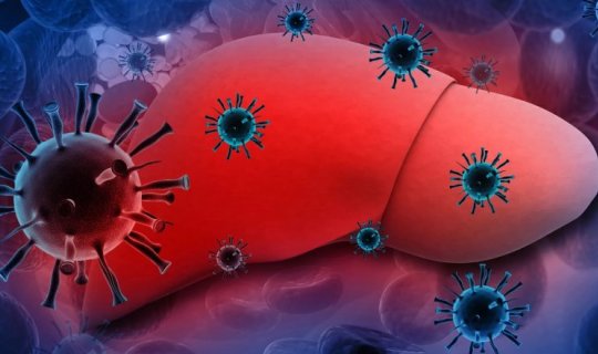 Bu il hepatit B və C diaqnozu qoyulanların sayı açıqlandı