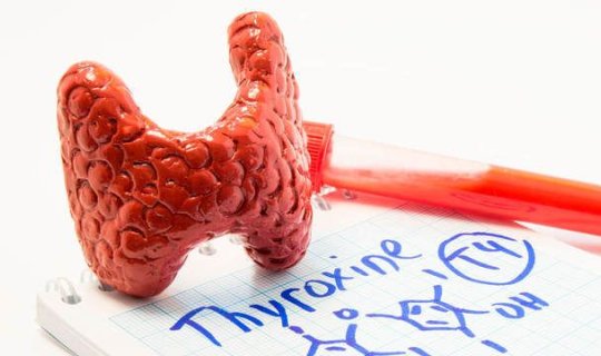 Ən vacib hormonal analiz - TSH nədir?
