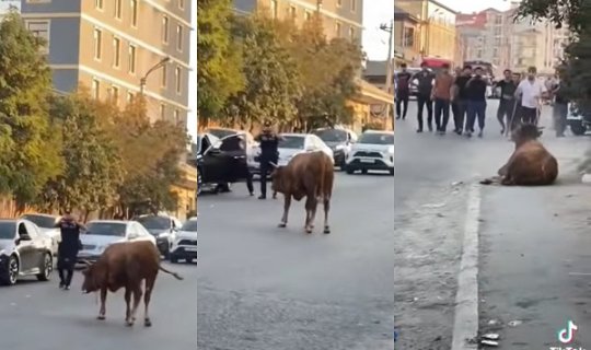 Polisin dananı güllələmə anı - VİDEO