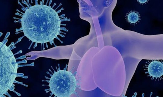 Ekspert payızda immuniteti yaxşılaşdıran məhsulları açıqladı