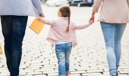 Azərbaycanda ana 15 il əvvəl övladlığa verdiyi qızını qaçırıb? - DİN-dən açıqlama