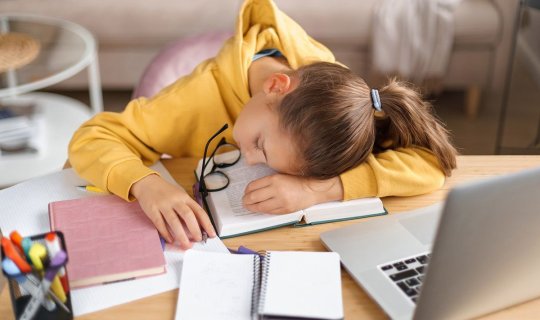 Məktəblilər üçün ən vacib vitaminlər – Dərsləri yaxşı qavraması üçün
