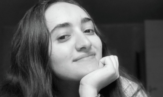Ermənilərin Qarabağla bağlı tələbi rədd edildi - Nə etmək istəyirlər?