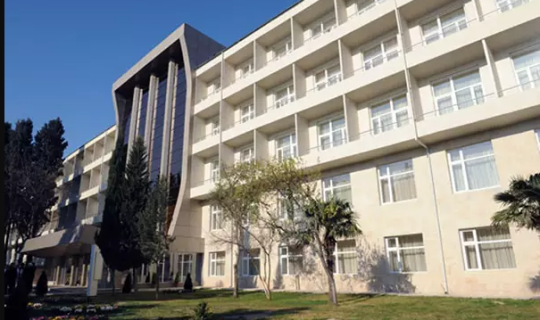 Bu xəstəxana rəhbər kreslosu sifariş verib: fıstıq ağacından olmalıdır