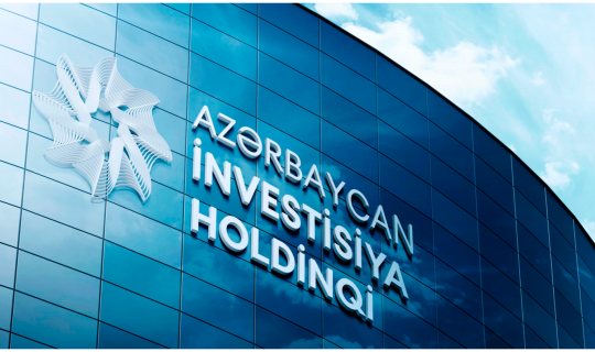 Dövlət holdinqində 5 illik yoxlama aparılacaq