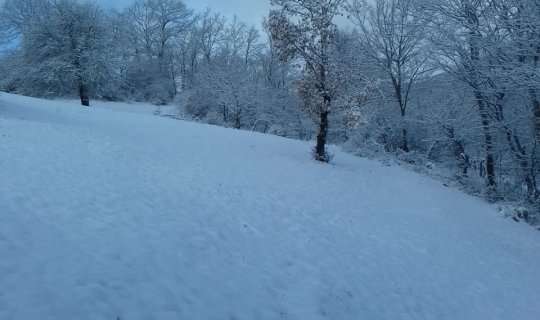 Dekabrda dağ rayonunda gavalı bar verdi, sonra qar yağdı - FOTO