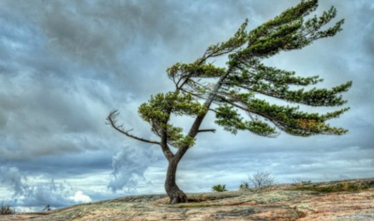 Milli Hidrometeorologiya Xidməti yenidən əhaliyə xəbərdarlıq edib