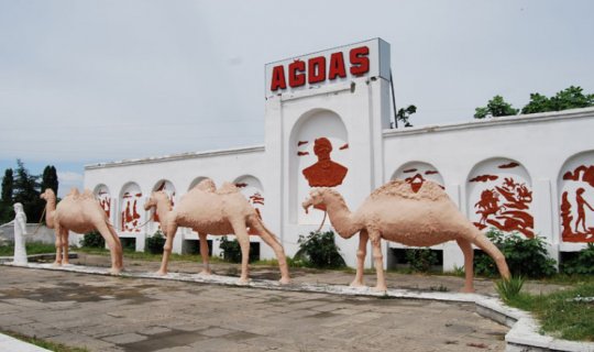 Ağdaşda ƏMƏLİYYAT:silahlı narkotacir və qoyun oğrusu tutuldu - FOTO