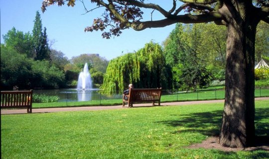 Bakıda yeni Yaşıl Park və Nəbatat Parkı salınacaq