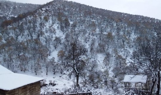 Qeyri-sabit hava şəraiti davam edəcək, yollar buz bağlayacaq - XƏBƏRDARLIQ