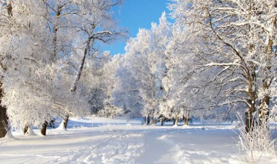 Milli Hidrometeorologiya Xidməti məlumat yaydı