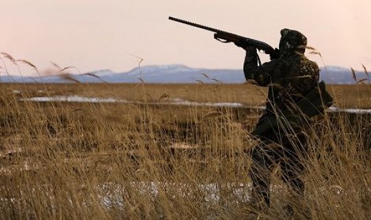 Ərəb sahibkar Azərbaycanda nadir quşları ovladı - FOTO