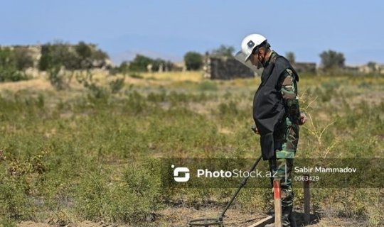 Azad edilən rayonlarda ötən il minalardan təmizlənən ərazilərin həcmi - SİYAHI