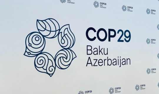 COP29 Könüllülük Proqramı üzrə müsahibələr yekunlaşıb