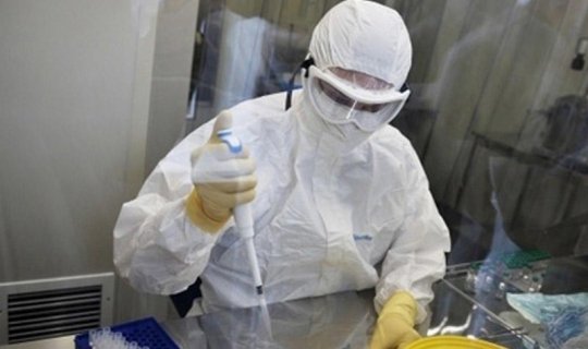 Bu ölkədə yeni növ koronavirus aşkar edildi