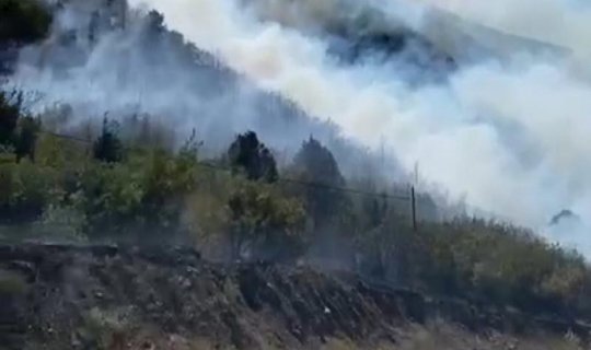 Türkiyənin Tokat bölgəsində yanğın: 5 hektar meşə sahəsinə ziyan dəyib