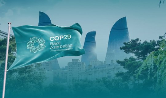 COP29-a qatılmaq üçün elektron viza müraciəti edən ölkələrin sayı 100-ü keçib