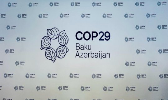 COP 29-un keçirilməsinə ayrılan vəsaitin auditi aparılacaq