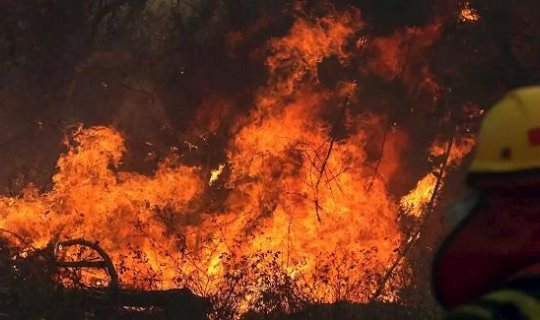 Bu Avropa ölkəsində meşə yanğını binalara keçdi