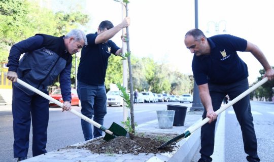 ECOLEAD layihəsi uğurla icra olunur - Fotolar